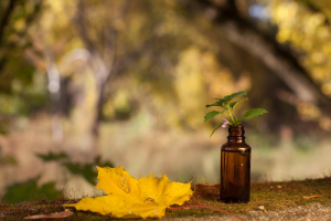 מוצאים שלווה - איך נועה לוי עוזרת לך למצוא שלווה בעזרת פרחי באך